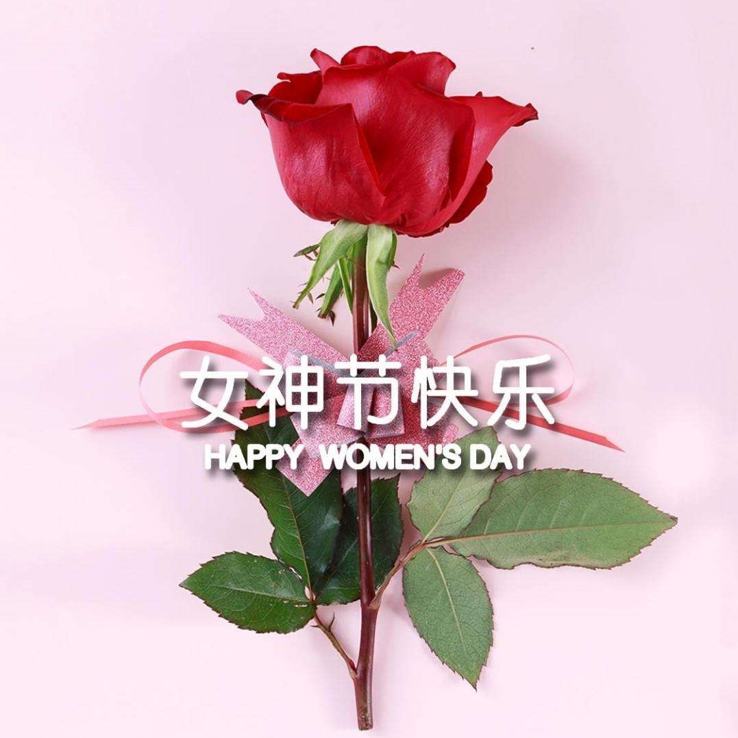 女神节特辑丨以医疗力量，筑女性健康